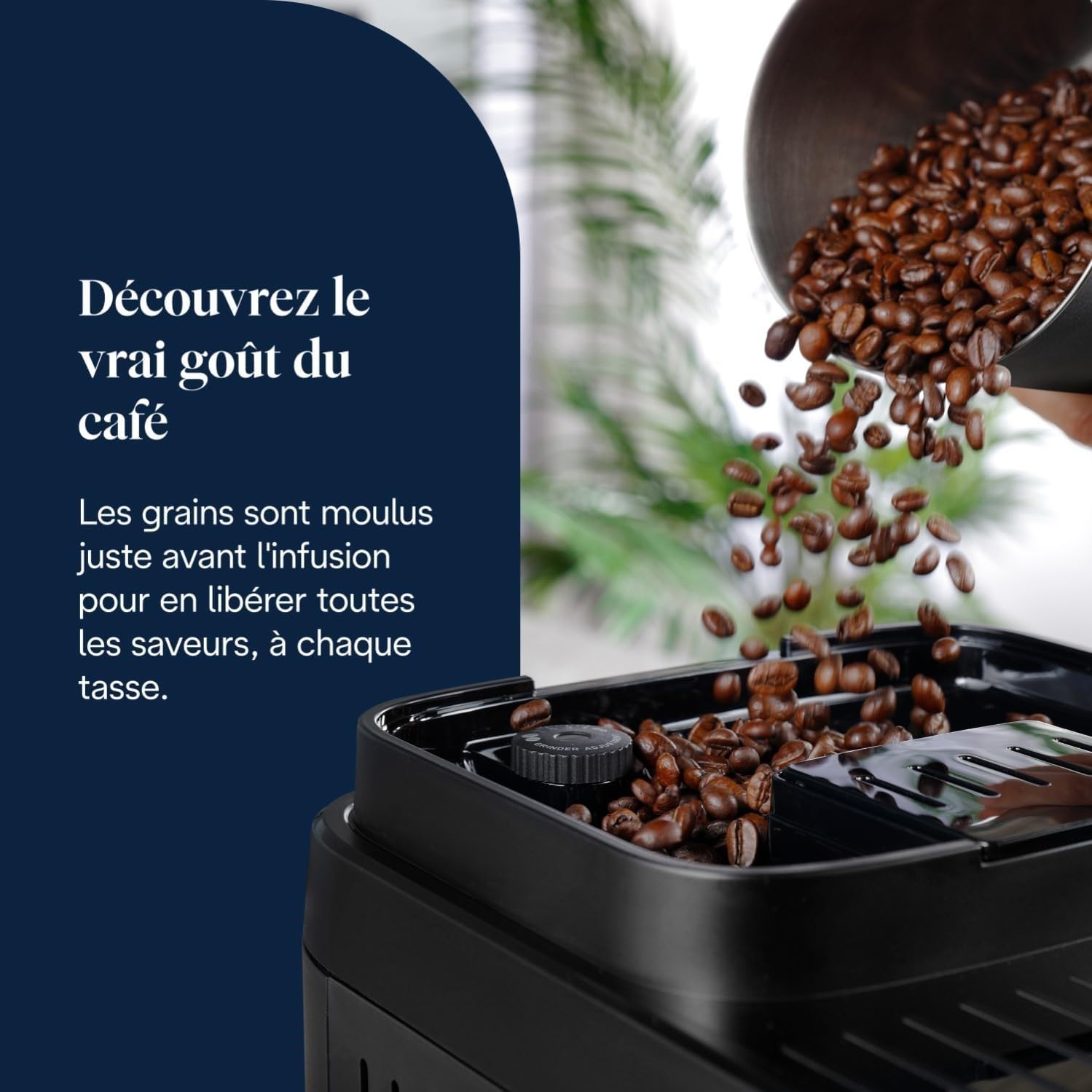Magnifica Evo Next - Perfetto Machine à Café Automatique avec LatteCrema