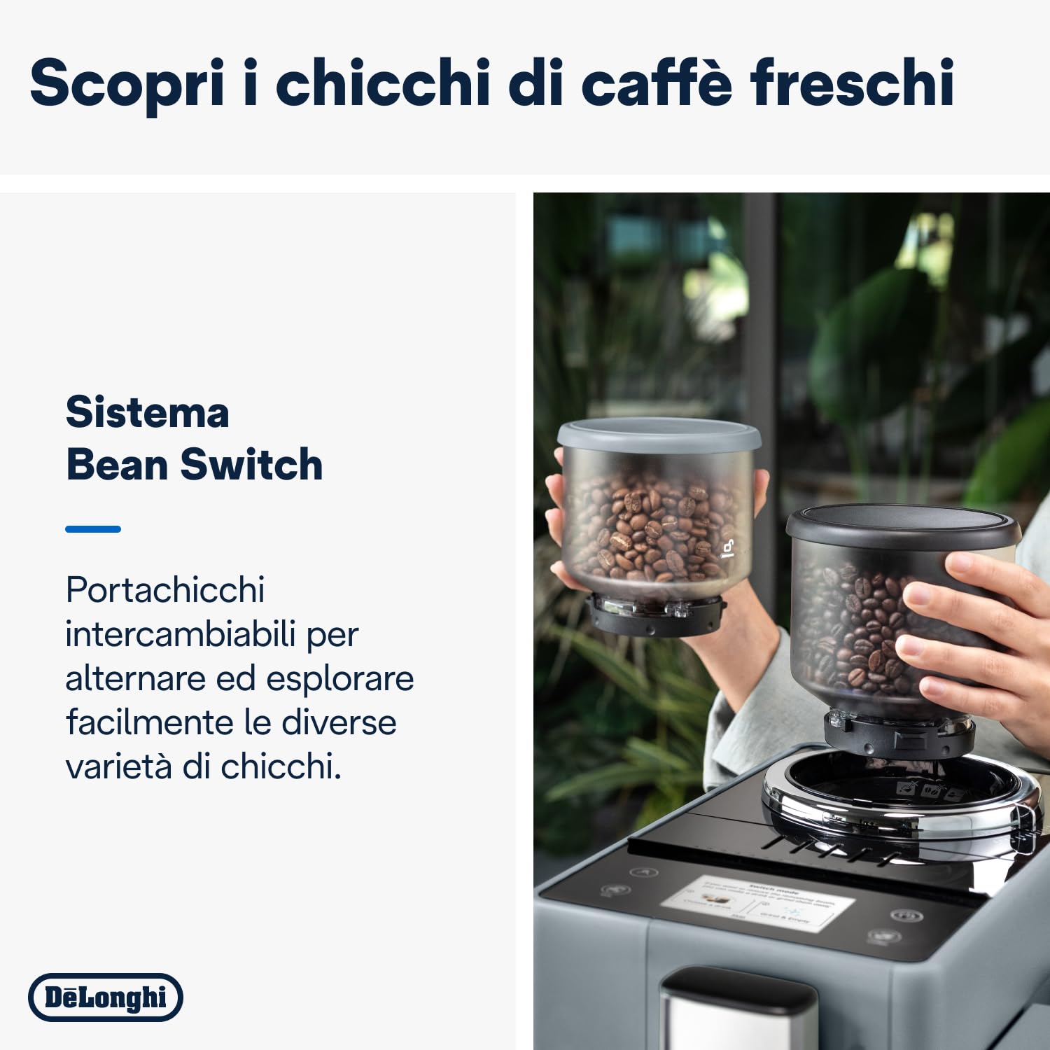 Rivelia Automatique Grains de café, Gris